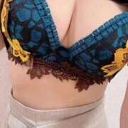 ヒメ日記 2026/01/19 07:38 投稿 響(ひびき) デザインヴィオラ東京