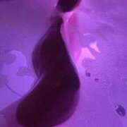 ヒメ日記 2026/01/29 00:28 投稿 響(ひびき) デザインヴィオラ東京