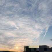 ヒメ日記 2026/02/02 12:08 投稿 響(ひびき) デザインヴィオラ東京