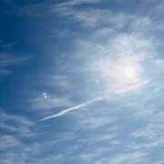 ヒメ日記 2026/02/15 16:08 投稿 響(ひびき) デザインヴィオラ東京