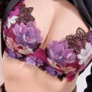 ヒメ日記 2026/02/25 06:38 投稿 響(ひびき) デザインヴィオラ東京