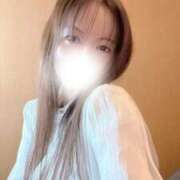 響(ひびき) 💕今日はブラウス💕 デザインヴィオラ東京