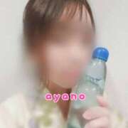 ヒメ日記 2025/07/14 12:42 投稿 あやの グランローズ