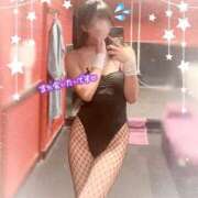 ヒメ日記 2025/09/03 17:09 投稿 ハナ バニーコレクション千葉栄町店