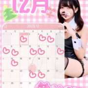 ヒメ日記 2025/12/03 08:00 投稿 ハナ バニーコレクション千葉栄町店