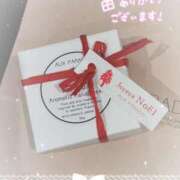 ヒメ日記 2025/12/04 19:30 投稿 ハナ バニーコレクション千葉栄町店