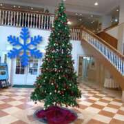 ヒメ日記 2025/12/20 23:46 投稿 川上あやな 五十路マダム 岐阜店