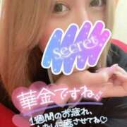 ヒメ日記 2025/06/27 17:31 投稿 しいな サンキュー沼津店（サンキューグループ）