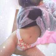 ヒメ日記 2025/03/04 07:40 投稿 レイ 石庭