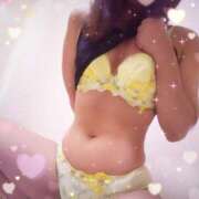 ヒメ日記 2025/03/08 11:30 投稿 レイ 石庭