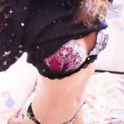 ヒメ日記 2025/03/22 15:01 投稿 レイ 石庭