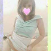 ヒメ日記 2025/04/07 09:40 投稿 レイ 石庭