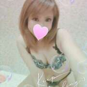 ヒメ日記 2025/04/07 15:01 投稿 レイ 石庭