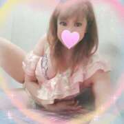 ヒメ日記 2025/04/17 20:55 投稿 レイ 石庭