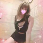 ヒメ日記 2025/04/20 09:20 投稿 レイ 石庭