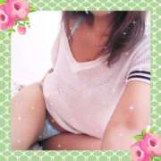 ヒメ日記 2025/04/22 07:31 投稿 レイ 石庭