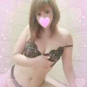 ヒメ日記 2025/04/26 09:35 投稿 レイ 石庭