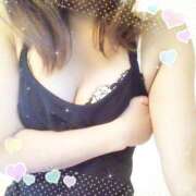 ヒメ日記 2025/04/29 07:50 投稿 レイ 石庭