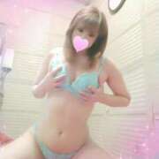 ヒメ日記 2025/05/01 09:30 投稿 レイ 石庭