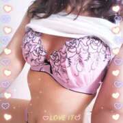 ヒメ日記 2025/05/01 14:10 投稿 レイ 石庭