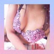 ヒメ日記 2025/05/01 21:50 投稿 レイ 石庭