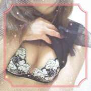 ヒメ日記 2025/05/05 17:10 投稿 レイ 石庭