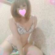 ヒメ日記 2025/05/31 19:00 投稿 レイ 石庭