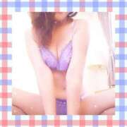 ヒメ日記 2025/06/08 13:22 投稿 レイ 石庭