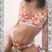 ヒメ日記 2025/06/12 15:20 投稿 レイ 石庭