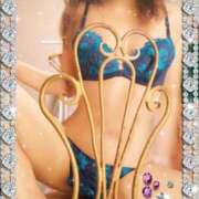 ヒメ日記 2025/06/30 23:20 投稿 レイ 石庭