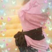 ヒメ日記 2025/07/02 15:50 投稿 レイ 石庭