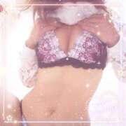 ヒメ日記 2025/07/03 18:50 投稿 レイ 石庭