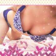 ヒメ日記 2025/07/04 22:50 投稿 レイ 石庭