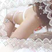 ヒメ日記 2025/07/06 07:30 投稿 レイ 石庭