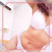 ヒメ日記 2025/07/12 07:50 投稿 レイ 石庭