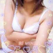 ヒメ日記 2025/07/22 18:50 投稿 レイ 石庭