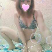 ヒメ日記 2025/08/08 07:10 投稿 レイ 石庭