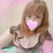 ヒメ日記 2025/08/12 17:50 投稿 レイ 石庭