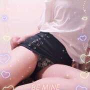 ヒメ日記 2025/08/13 19:20 投稿 レイ 石庭