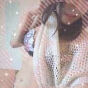 ヒメ日記 2025/08/14 14:03 投稿 レイ 石庭