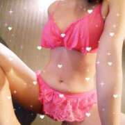 ヒメ日記 2025/08/21 10:50 投稿 レイ 石庭