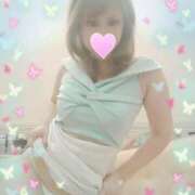 ヒメ日記 2025/08/26 14:26 投稿 レイ 石庭