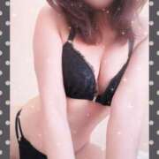 ヒメ日記 2025/09/10 18:00 投稿 レイ 石庭