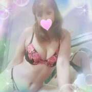 ヒメ日記 2025/09/14 21:50 投稿 レイ 石庭