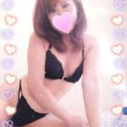 ヒメ日記 2025/09/19 23:50 投稿 レイ 石庭