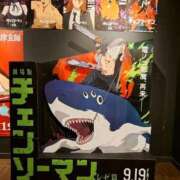 ヒメ日記 2025/09/22 17:50 投稿 レイ 石庭