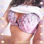 ヒメ日記 2025/09/29 17:00 投稿 レイ 石庭