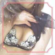 ヒメ日記 2025/10/25 14:40 投稿 レイ 石庭