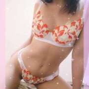 ヒメ日記 2025/10/26 11:30 投稿 レイ 石庭