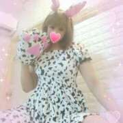 ヒメ日記 2025/10/31 09:20 投稿 レイ 石庭